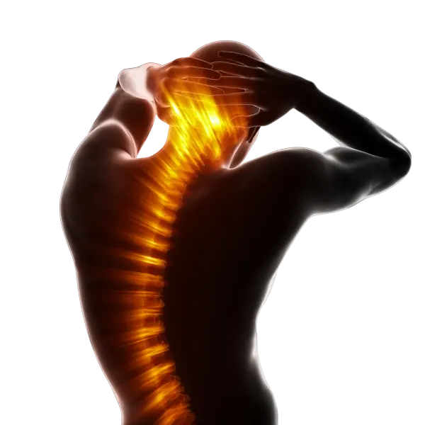 Chiropractic Mobile AL Spine Man